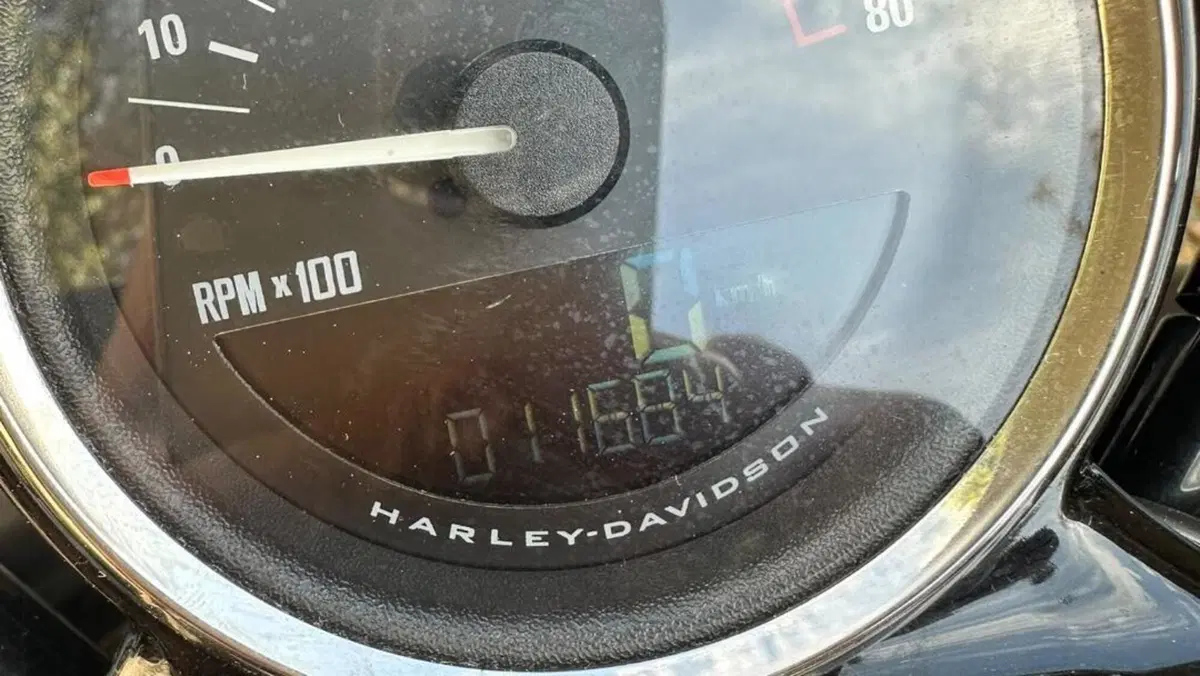 Harley-Davidson 1200 Custom (2017) - XL 1200C  (8)