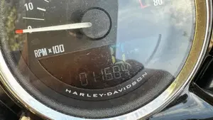 Harley-Davidson 1200 Custom (2017) - XL 1200C  (8)