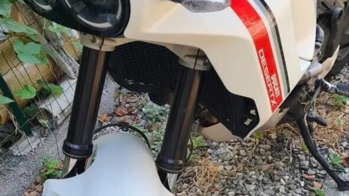 Ducati DesertX (2022 - 25)  (3)