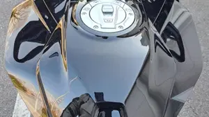 Bmw S 1000 XR (2020 - 23)  (4)