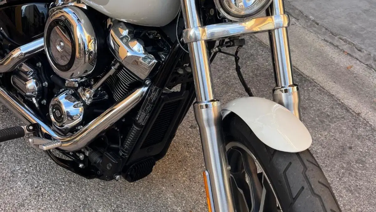 Harley-Davidson 107 Low Rider (2018 - 20) - FXLR  (4)
