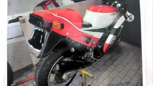 Ducati  