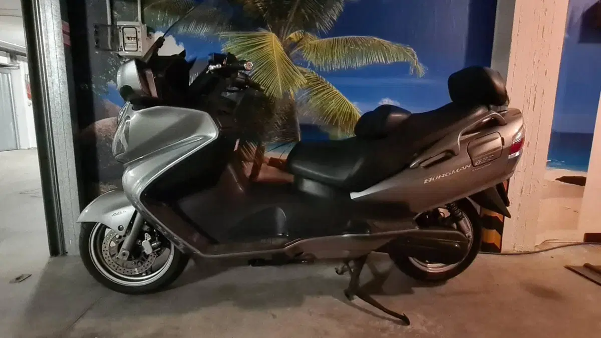 Suzuki Burgman AN 650 Executive ABS (2006 - 12) 