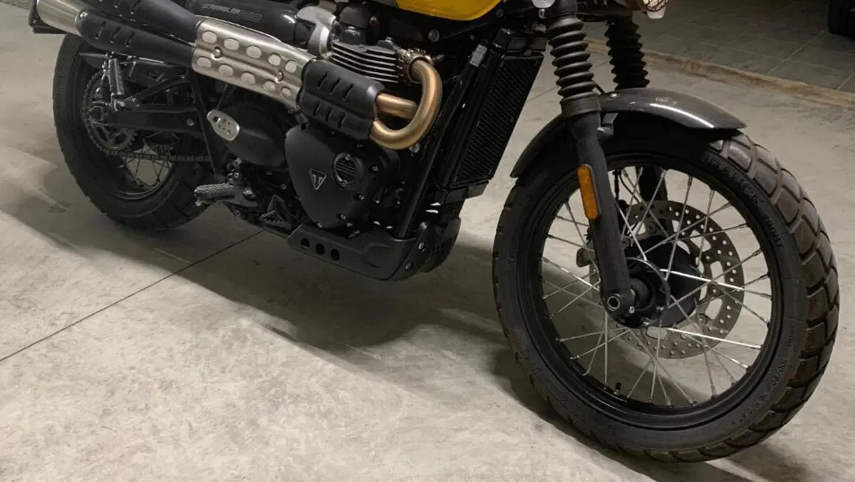 Triumph Scrambler 900 (2023 - 25)  (3)