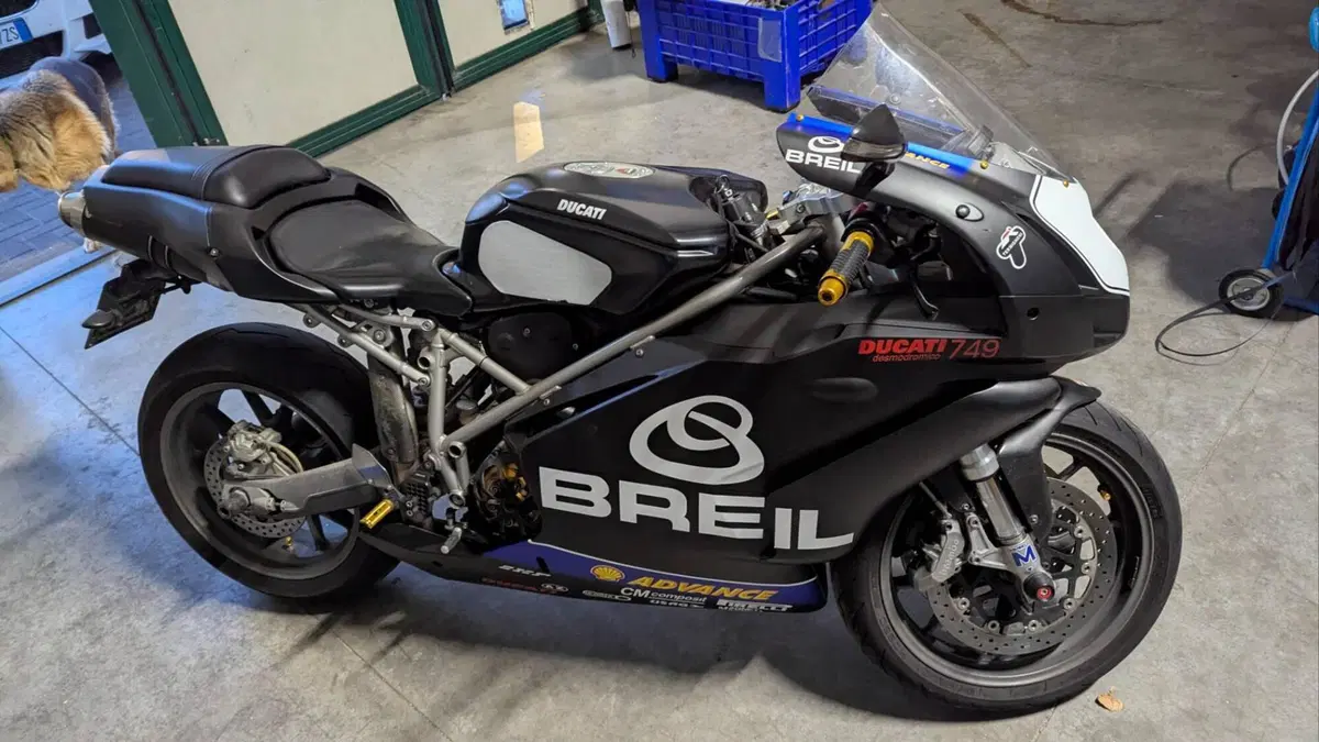 Ducati 749 Dark (2003 - 07)  (3)
