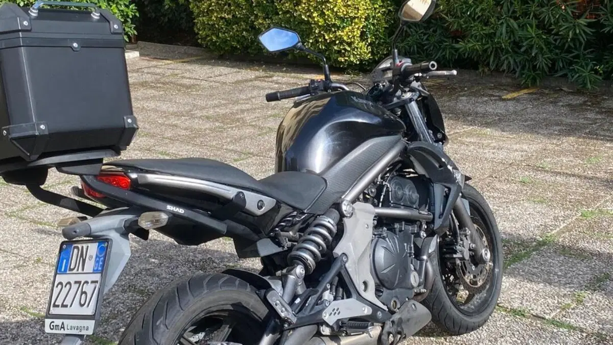 Kawasaki ER-6N (2006 - 09)  (3)