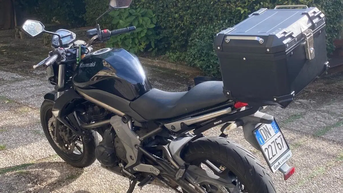 Kawasaki ER-6N (2006 - 09)  (4)