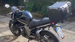 Kawasaki ER-6N (2006 - 09)  (4)