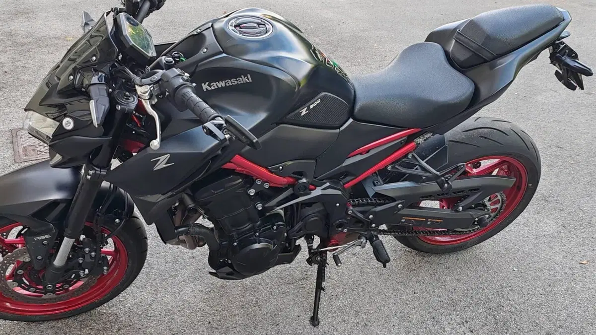 Kawasaki Z 900 (2021 - 24)  (2)