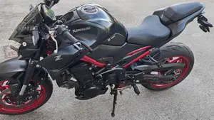 Kawasaki Z 900 (2021 - 24)  (2)