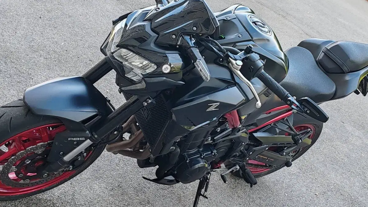 Kawasaki Z 900 (2021 - 24)  (3)