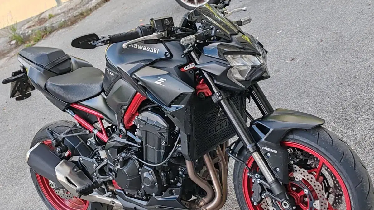 Kawasaki Z 900 (2021 - 24)  (9)