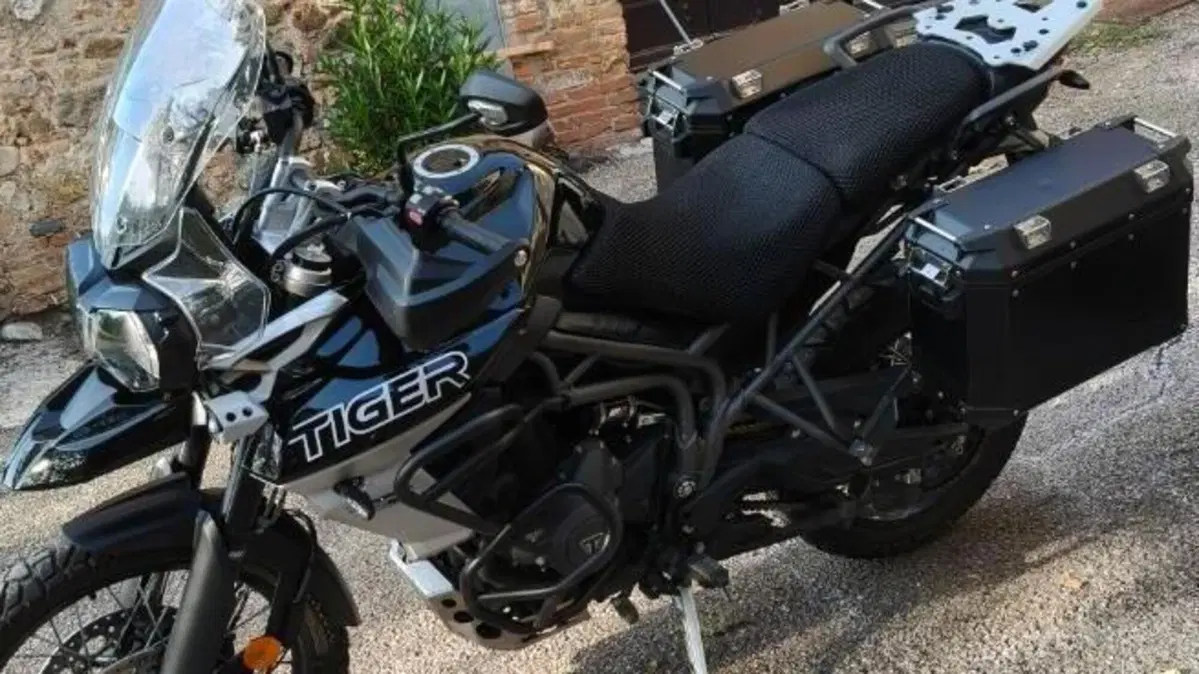 Triumph Tiger 800 XCx (2018 - 20)  (5)