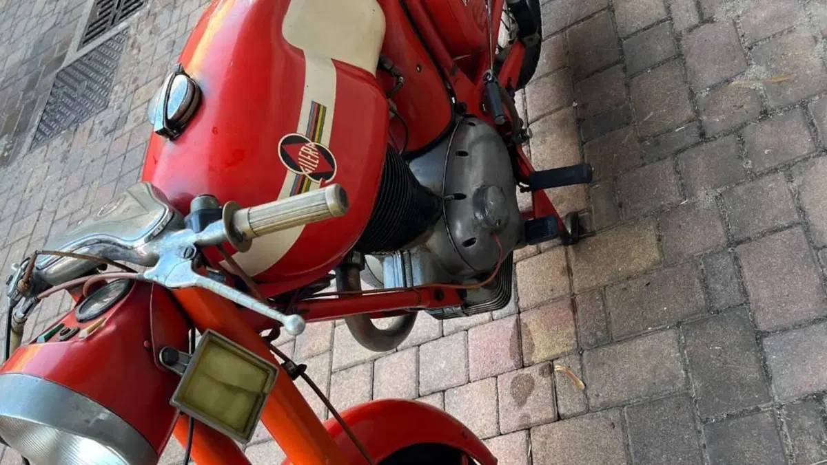 Gilera   (14)