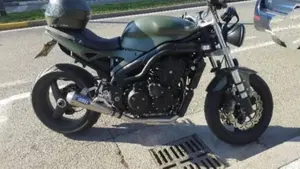 Triumph Speed Triple 955 (2002 - 04)  (2)