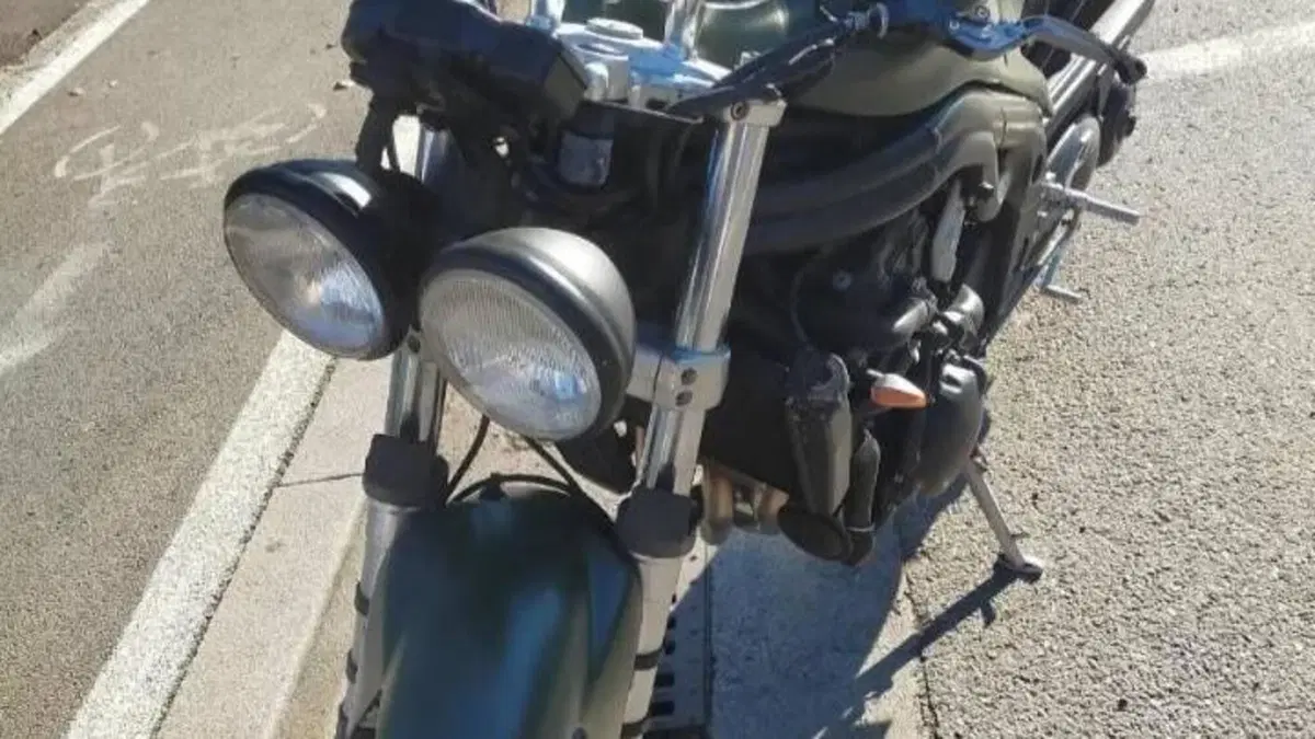 Triumph Speed Triple 955 (2002 - 04)  (4)