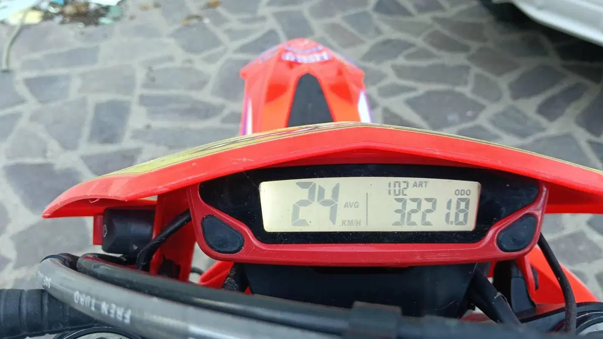 Betamotor RR 300 2T Enduro Racing (2016) 