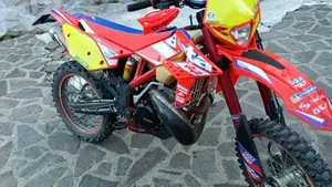 Betamotor RR 300 2T Enduro Racing (2016)  (2)