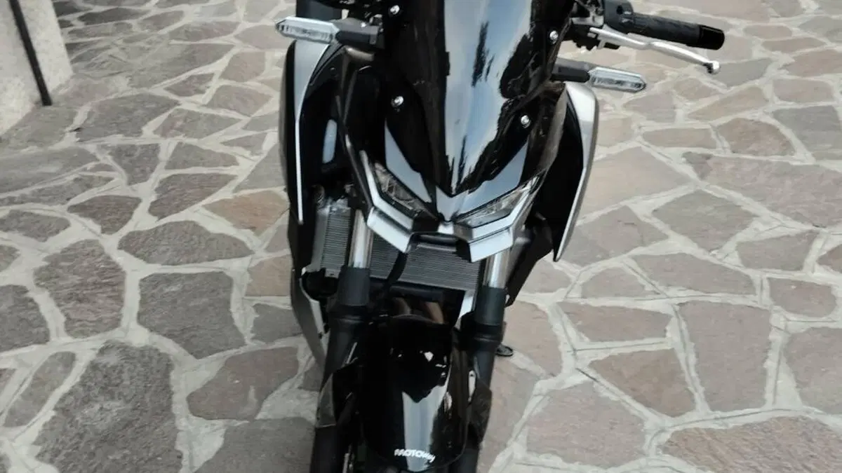 Kawasaki Z 500 SE (2024 - 26)  (2)