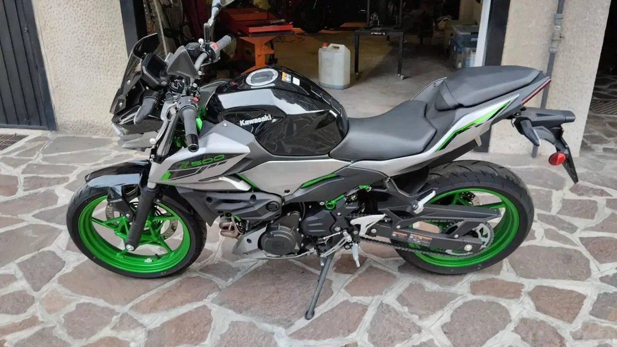 Kawasaki Z 500 SE (2024 - 26)  (3)