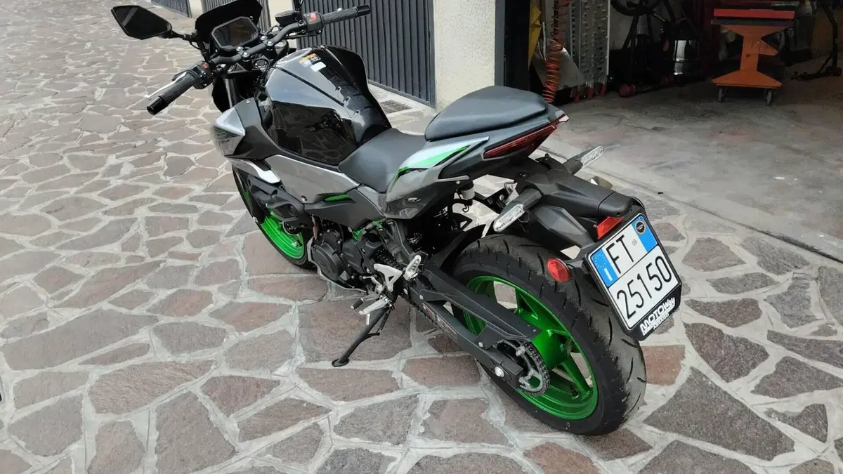 Kawasaki Z 500 SE (2024 - 26)  (4)