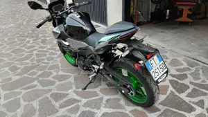 Kawasaki Z 500 SE (2024 - 26)  (4)