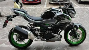 Kawasaki Z 500 SE (2024 - 26)  (6)