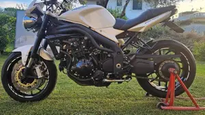 Triumph Speed Triple 1050 (2005 - 11)  (2)