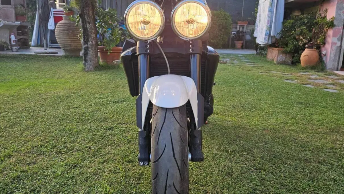 Triumph Speed Triple 1050 (2005 - 11)  (3)