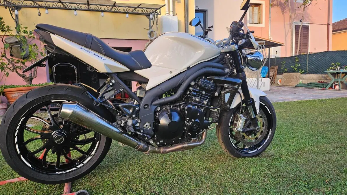 Triumph Speed Triple 1050 (2005 - 11)  (15)