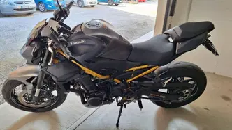 Kawasaki Z 900 (2025 - 26)