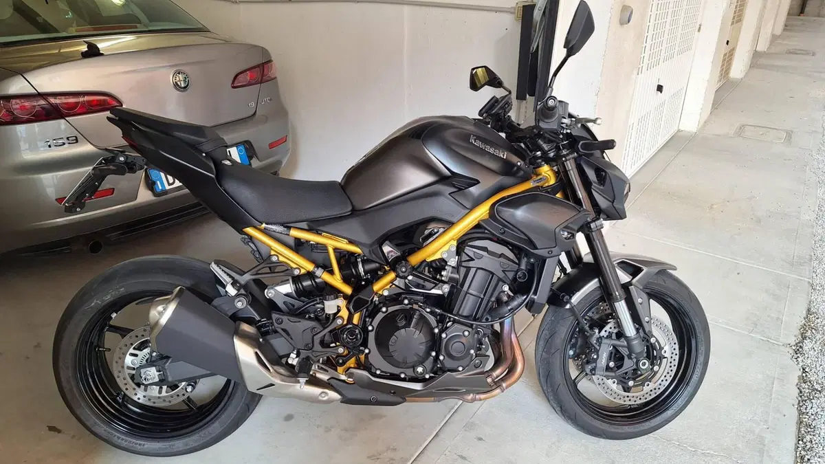 Kawasaki Z 900 (2025 - 27)  (2)