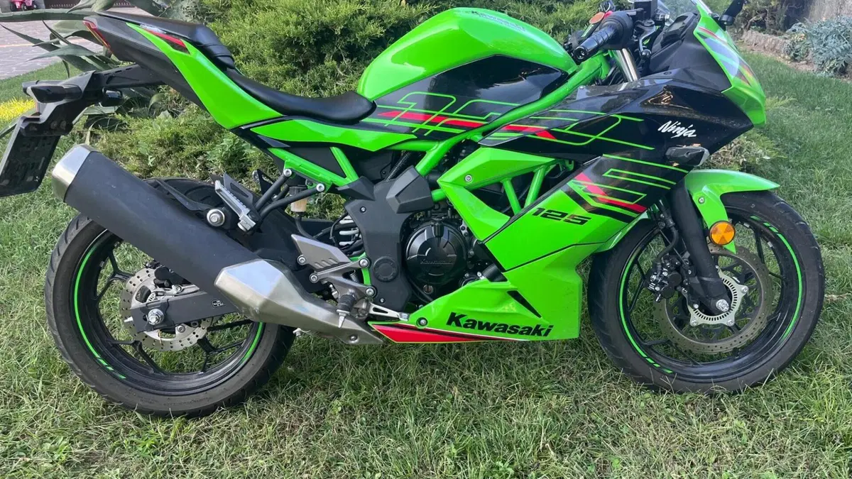 Kawasaki Ninja 125 (2021 - 24)  (2)