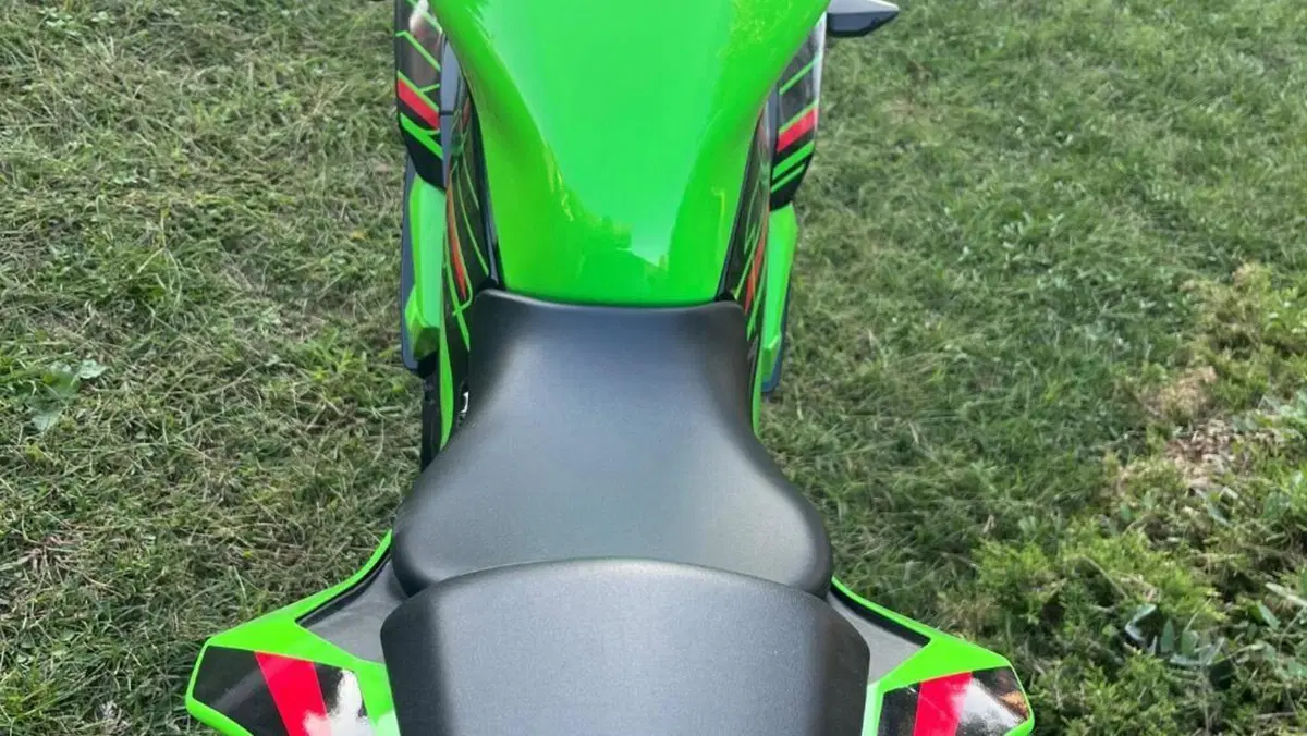 Kawasaki Ninja 125 (2021 - 24)  (5)