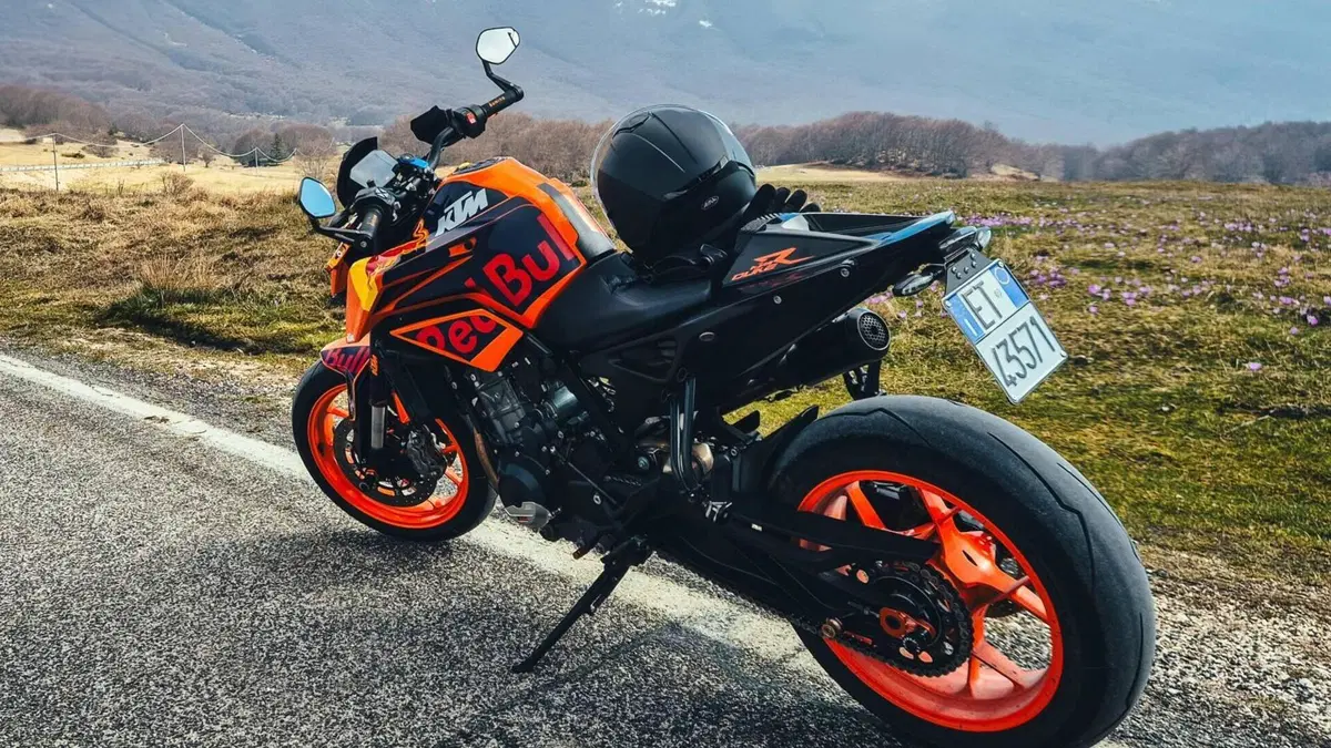 KTM 790 Duke (2018 - 20) 