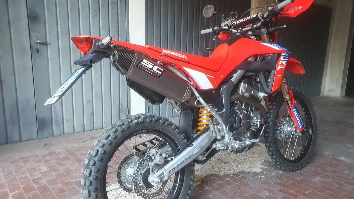Honda CRF 300L Red Edition (2026)  (3)