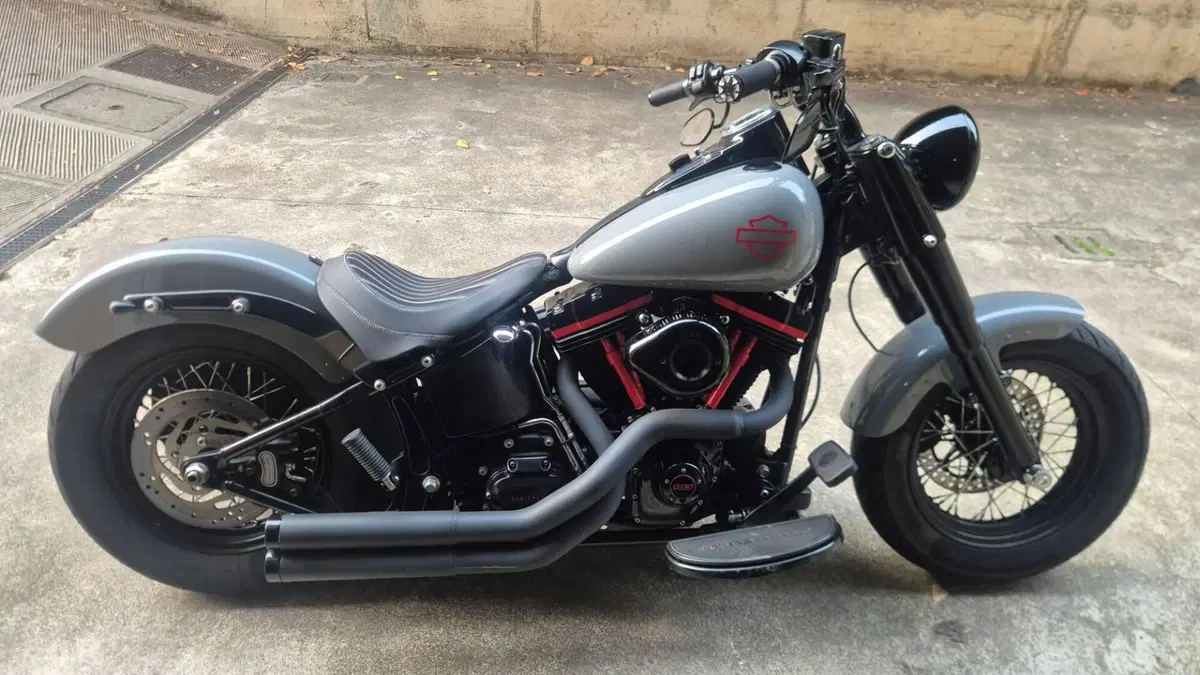 Harley-Davidson 1690 Slim (2011 - 16) - FLS 