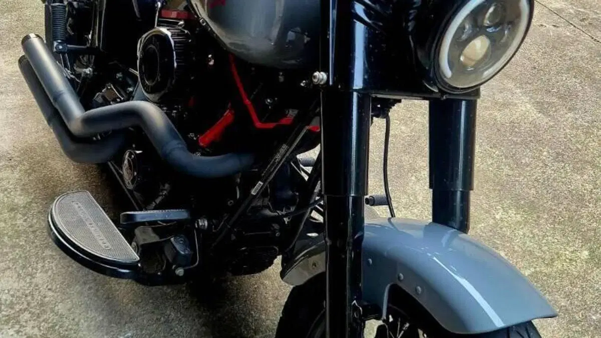 Harley-Davidson 1690 Slim (2011 - 16) - FLS  (2)