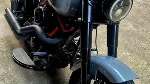 Harley-Davidson 1690 Slim (2011 - 16) - FLS  (2)