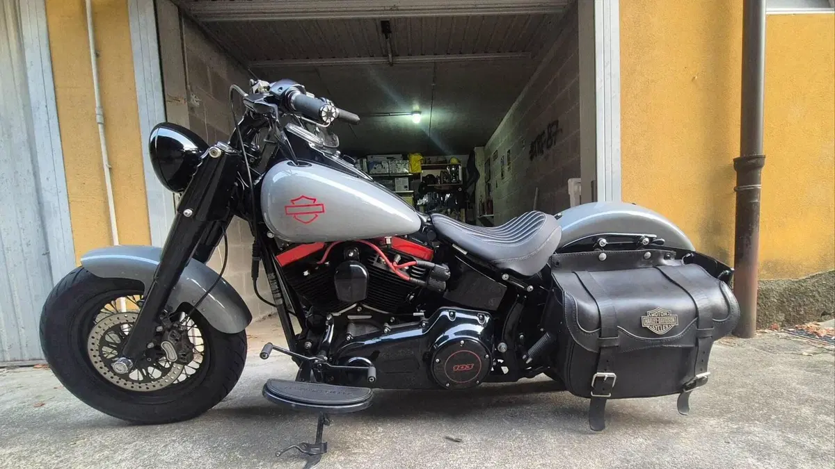 Harley-Davidson 1690 Slim (2011 - 16) - FLS  (3)
