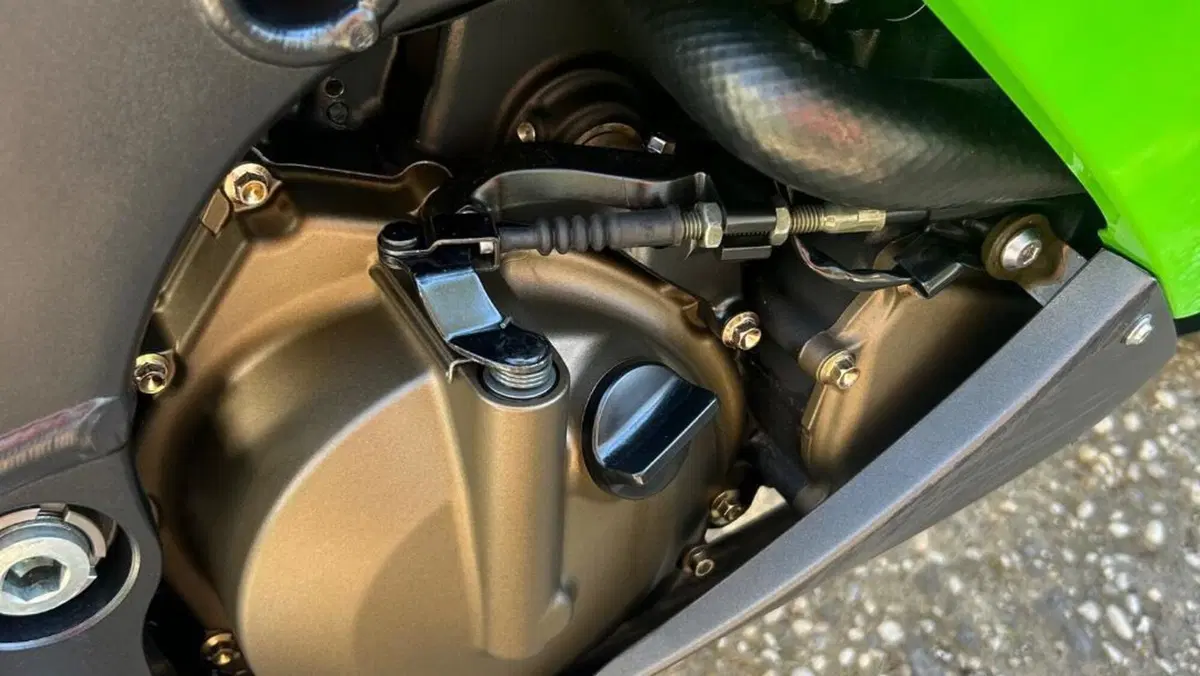 Kawasaki Ninja 1000 ZX-10R (2004 - 05)  (5)