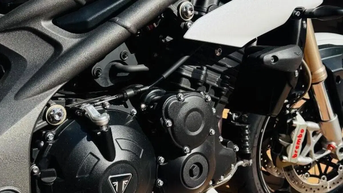 Triumph Speed Triple 1050 S (2018 - 20)  (5)