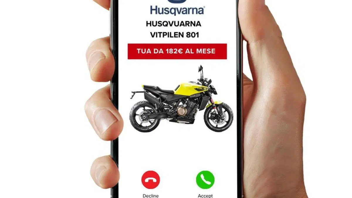 Husqvarna Vitpilen 801 L (2025 - 26)  (3)
