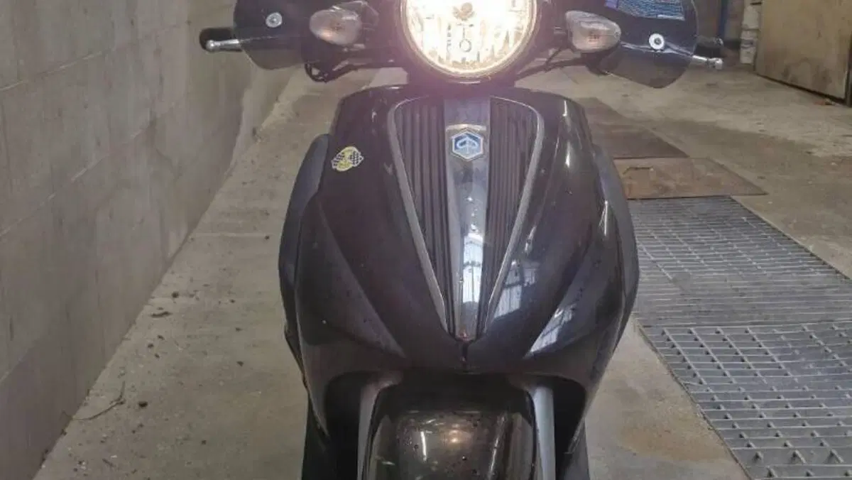 Piaggio Beverly Cruiser 250  (3)