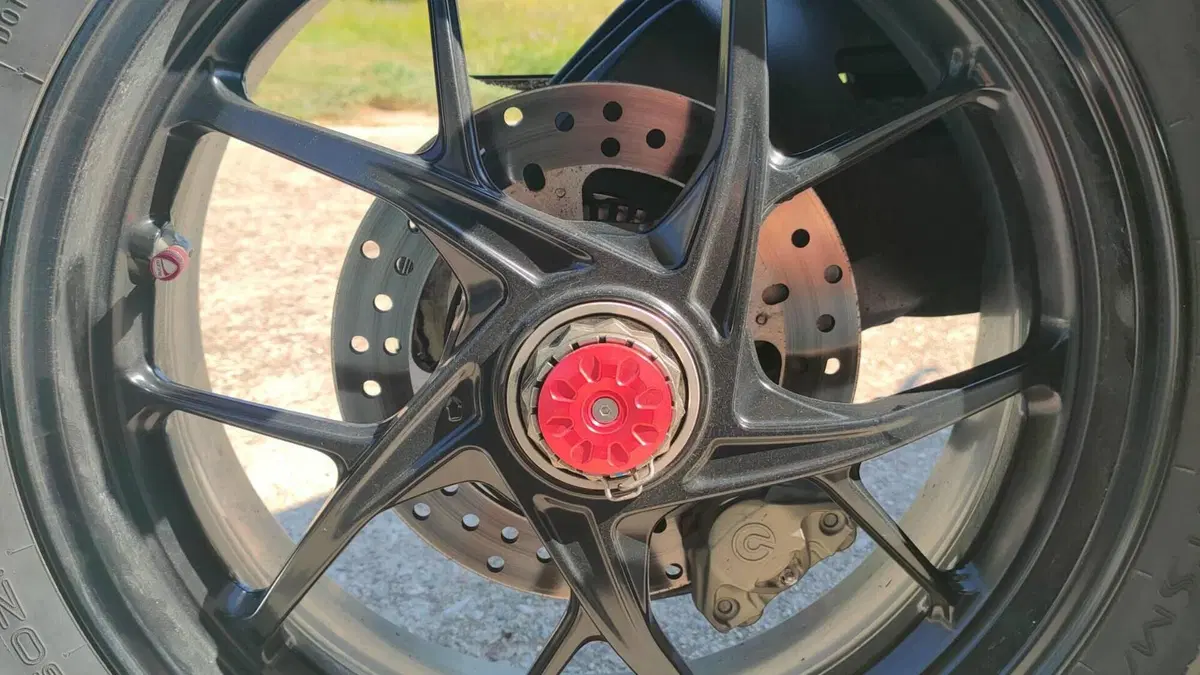 Ducati Panigale V2 (2021 - 24)  (15)