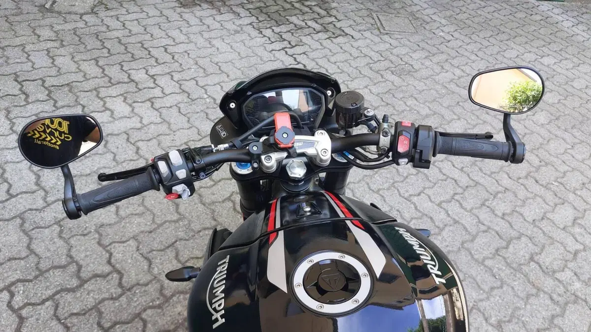 Triumph Speed Triple 1050 RS (2018 - 20)  (6)