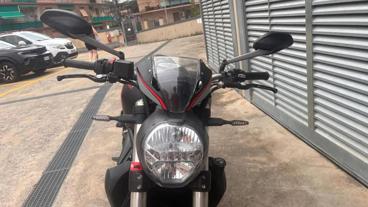 Ducati Monster 821 Stealth (2019 - 20)  (2)