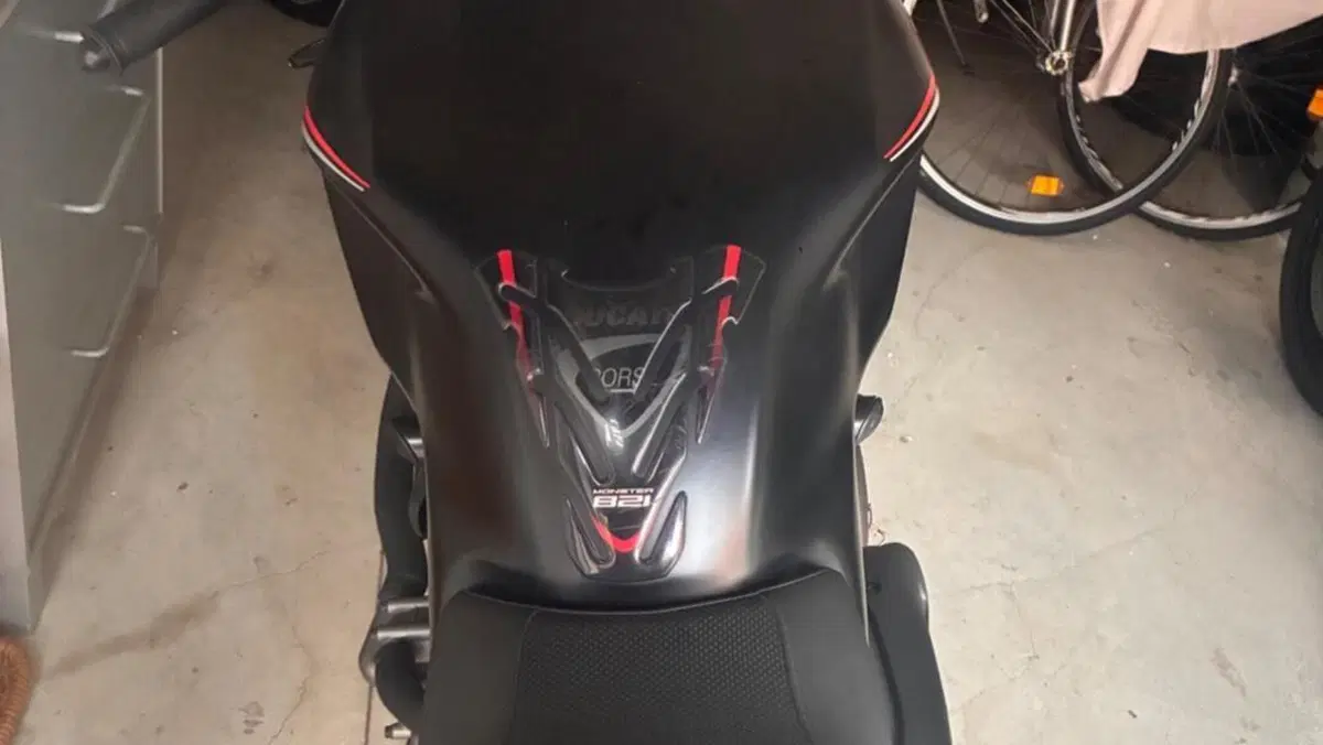 Ducati Monster 821 Stealth (2019 - 20)  (3)