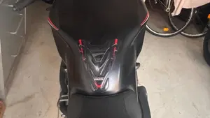 Ducati Monster 821 Stealth (2019 - 20)  (3)