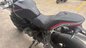 Ducati Monster 821 Stealth (2019 - 20)  (4)